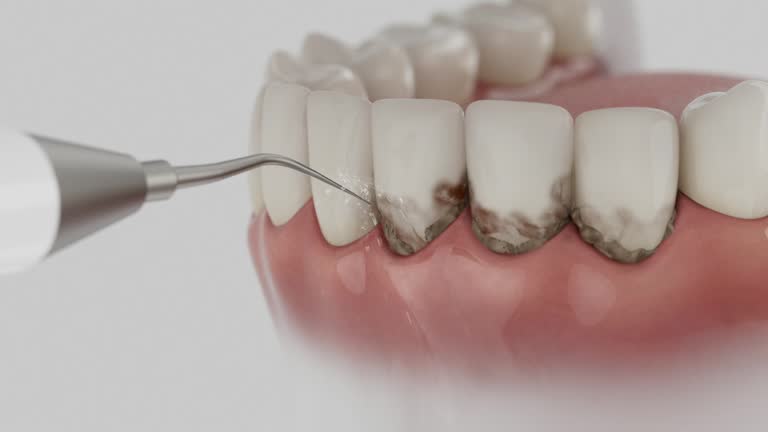 Reliable Dental contractor in McCall, ID by Dentist Open Now